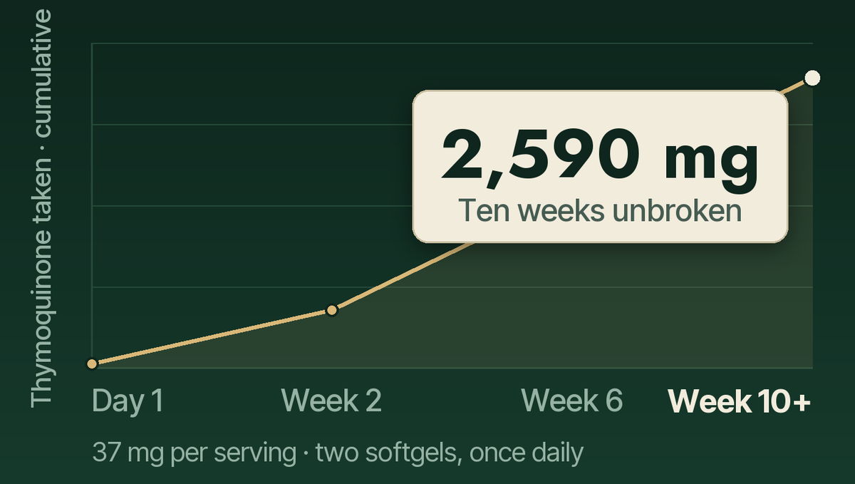 Cumulative thymoquinone taken over ten weeks of daily use