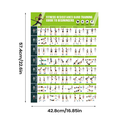 Workout Posters Resistance Bands Fitness Accessories Womens Strength Training Guide Gym Decor for Muscle Building Stretching