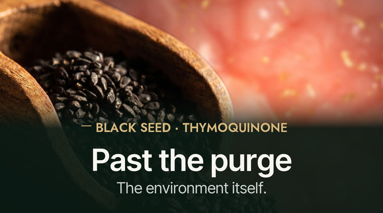Go Beyond The Purge