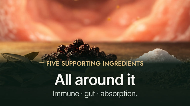 Support The Body Behind The Core 3