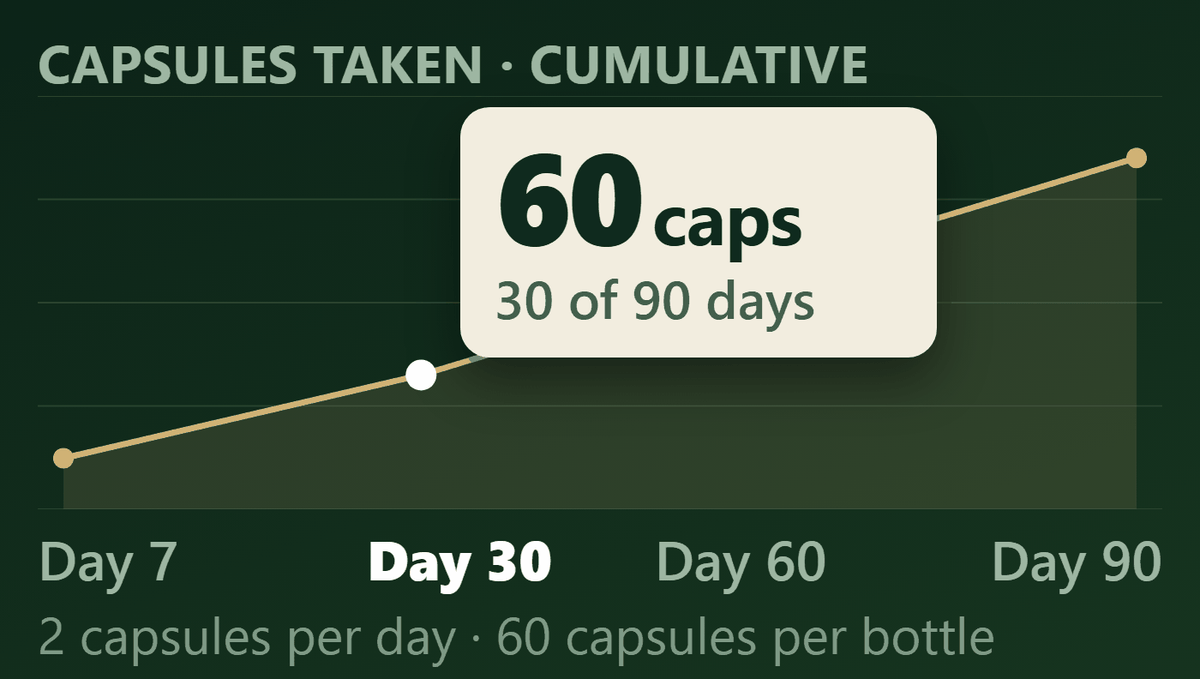 Week 2