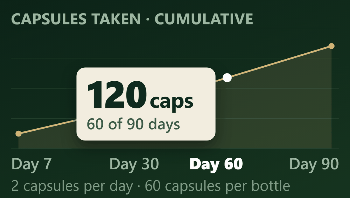 Week 6