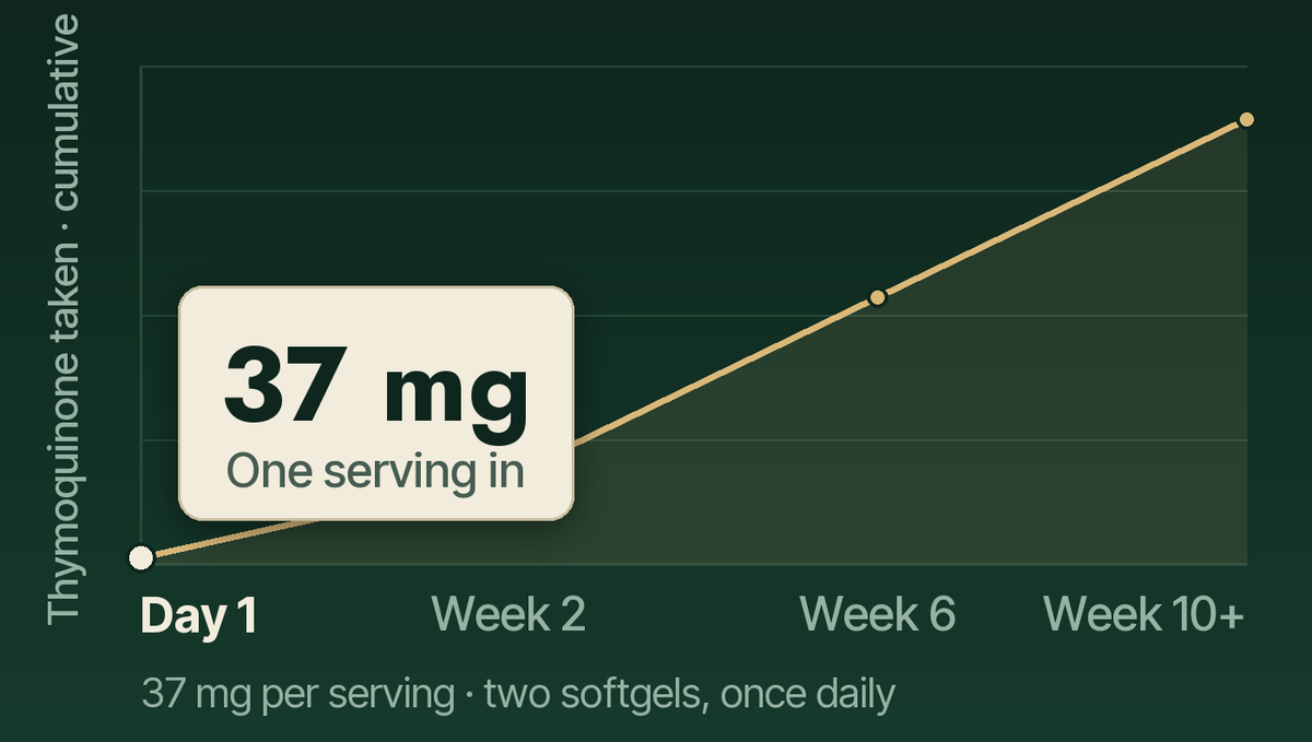 Week 1