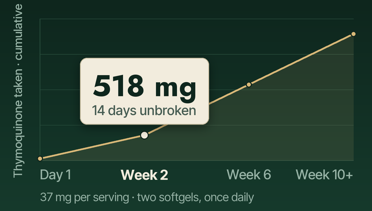 Week 2