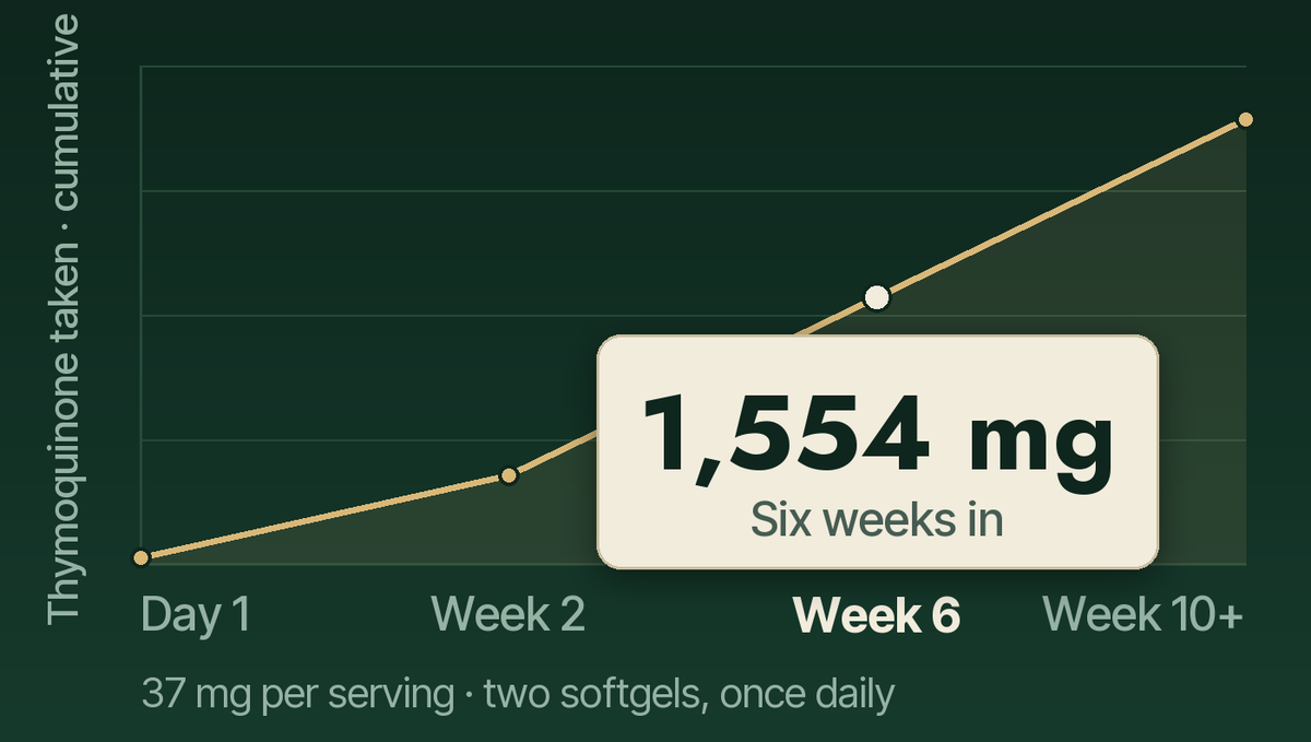 Week 6