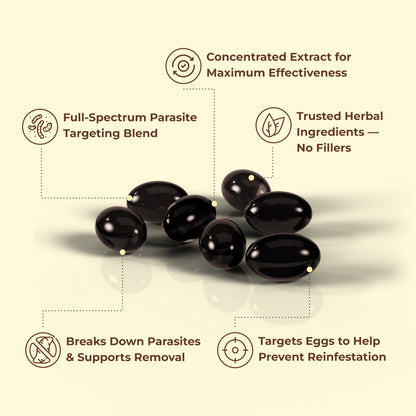 Arvonis™ Full-Cycle Gut Support